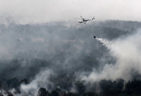 Haze from Indonesian fires may have killed more than 100,000 people 